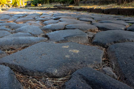 The ancient appia is the most famous street in Rome.の写真素材