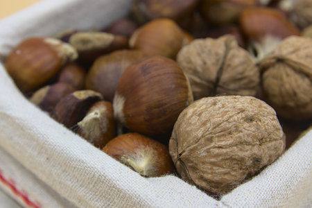 In the foreground the chestnuts and walnuts, typical fruit of the Christmas periodの写真素材