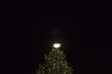Piazza San Pietro, the nativity scene, and the Christmas tree decorated with gold-colored lights