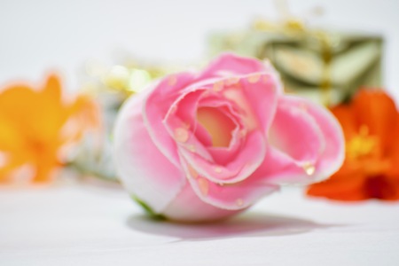 Abstract Of Pink Roseの写真素材