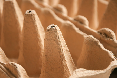 Egg Carton close up in warm colorの写真素材