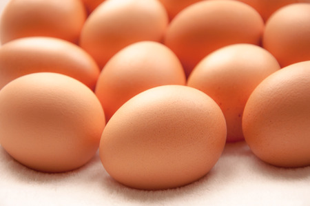 Brown hens eggs on a white backgroundの写真素材