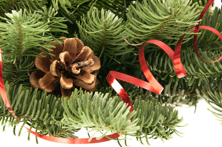 green fir-tree twigs with cones and a red ribbon on a white backgroundの写真素材