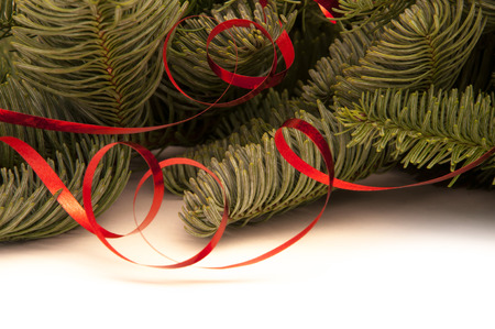 green fir-tree twigs with red ribbons on a white backgroundの写真素材