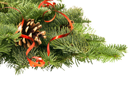 green fir-tree twigs with cones and a red ribbon on a white backgroundの写真素材