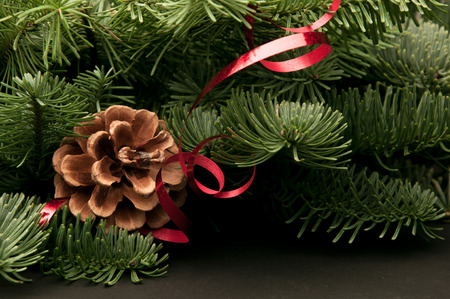 green fir-tree twigs with cones and a red ribbon on a dark backgroundの写真素材