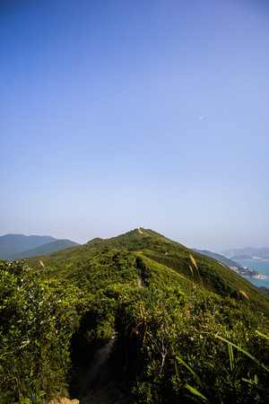 Path of Dragon's Back trail in Hong Kong.の写真素材