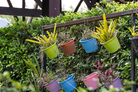 Hanging colorful plastic plant potsの写真素材