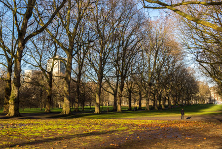 Beautiful public green park in Londonの写真素材