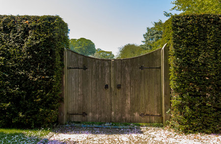 Wooden door with leaf fence and falling flower on the ground