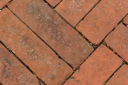Close-up orange rough brick floor background
