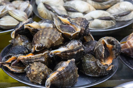 Fresh assorted shells at local fish market