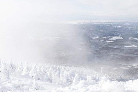 View of Mount Hakkoda landscape with white snow covered tree and ropeway cable with hazy weatherの写真素材