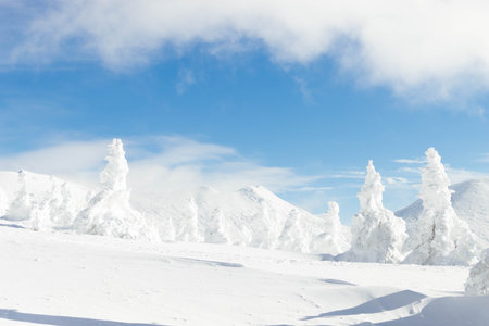 Landscape view of snow covered tree and snow ground on snow mountain with blue skyの写真素材