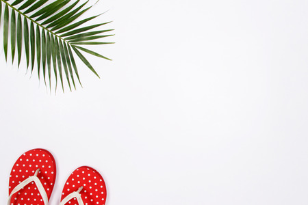 Tropical palm leaf branches and red slippers on white background with empty space for text. Travel vacation concept. Summer background.  Flat lay, top view.の写真素材