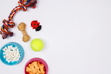 Pet accessories, food and toy on white background. Flat lay. Top view.の写真素材