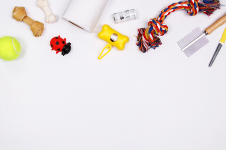 Pet accessories, food and toy on white background. Flat lay. Top view.の写真素材