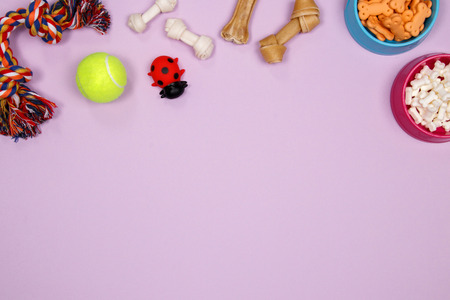 Dog accessories, food and toy on purple background. Flat lay. Top view.の写真素材