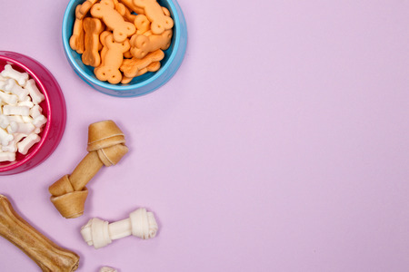 Dog accessories, food and toy on purple background. Flat lay. Top view.の写真素材