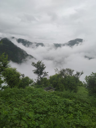 mountains covered trees and blue sky with cloud