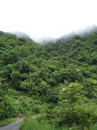 mountains covered trees and sky with cloud