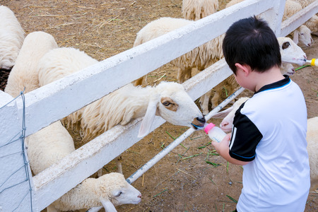 Child feeding foodの写真素材