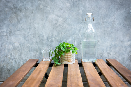 A small plant pot displayed on the tableの写真素材