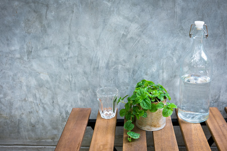 A small plant pot displayed on the tableの写真素材