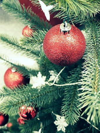 Christmas treeの写真素材