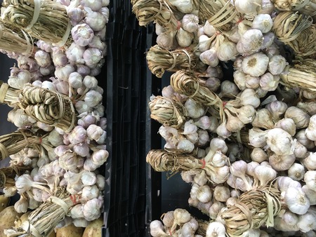 Garlic herb for healthy in super market on top viewの写真素材