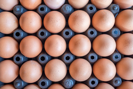 Eggs from chicken farm in the package.