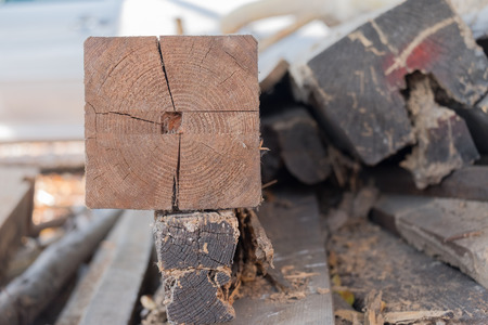 Wood timber texture.の写真素材