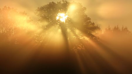 sunrise in the country の写真素材