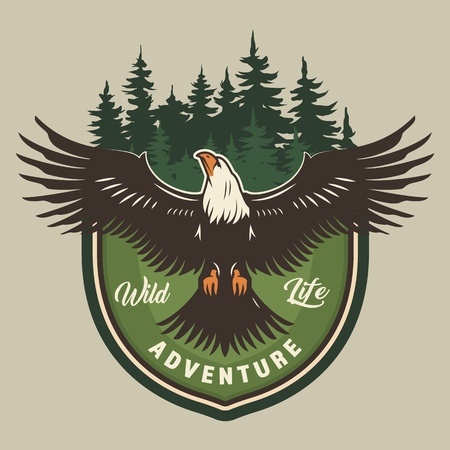 Vintage camping colorful print with eagle and forest isolated vector illustrationのイラスト素材