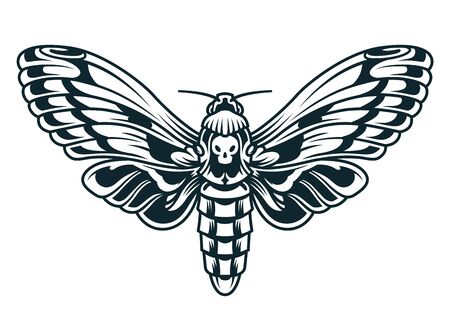 Vintage beautiful butterfly template in monochrome style isolated vector illustrationのイラスト素材