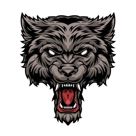 Colorful dangerous scary ferocious wolf head in vintage style isolated vector illustrationのイラスト素材