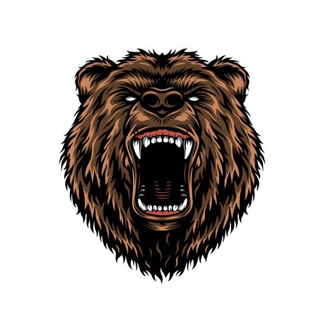 Ferocious aggressive bear head colorful concept in vintage style isolated vector illustrationのイラスト素材
