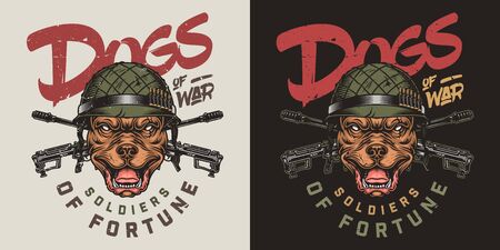 Colorful vintage military print with inscriptions crossed assault rifles and pitbull head in soldier helmet isolated vector illustrationのイラスト素材