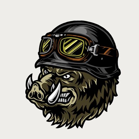 Colorful angry biker wild boar head in motorcycle helmet and goggles in vintage style isolated vector illustrationのイラスト素材