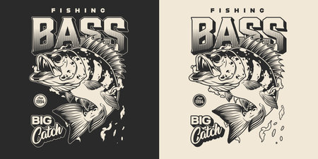 Vintage fishing monochrome print with letterings perch and water drops on dark and light backgrounds isolated vector illustrationのイラスト素材