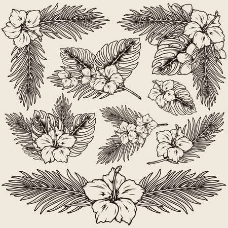 Monochrome exotic floral vintage conceptのイラスト素材