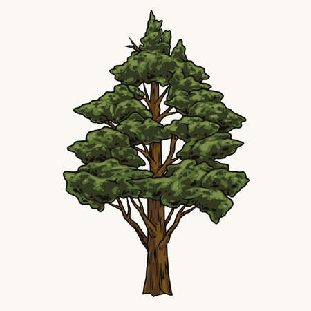 Colorful tree conceptのイラスト素材