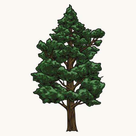 Tree with green leaves vintage templateのイラスト素材