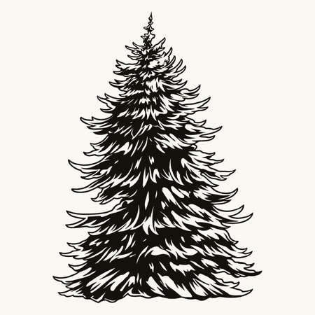 Lush fir tree vintage conceptのイラスト素材