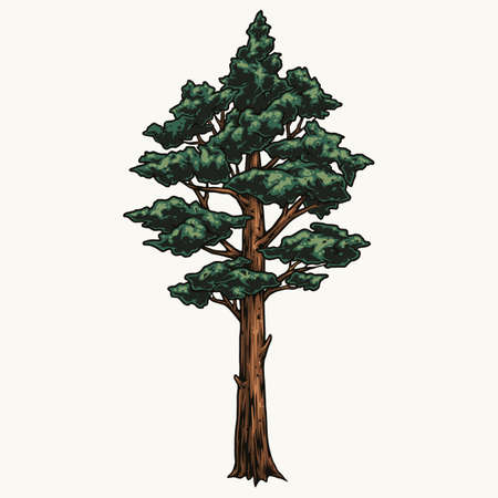 Beautiful tree colorful templateのイラスト素材