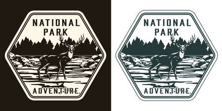 National park vintage monochrome printのイラスト素材
