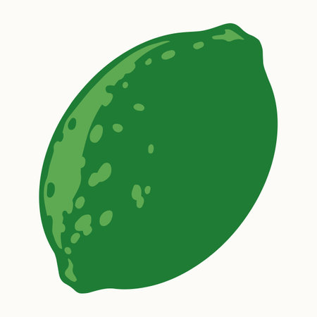 Fresh green lime on white backgroundのイラスト素材