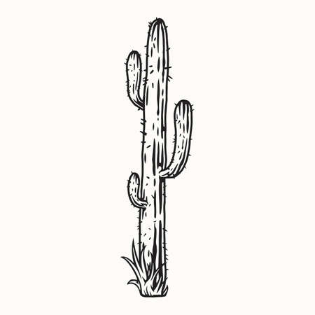 Tall cactus with thorns in monochrome styleのイラスト素材