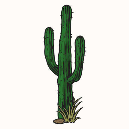 Tall desert cactus with grassのイラスト素材