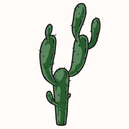 Green spiny cactus with branchesのイラスト素材